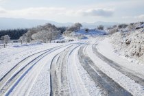 Camino cubierto de nieve - foto de stock