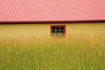 Yellow Shed With Red Roof — Stock Photo