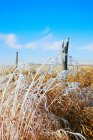 Fence Line In Winter — Stock Photo