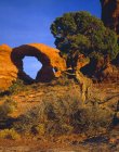 Redrock paesaggio desertico — Foto stock