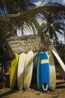 Placas de surf apoiadas por uma cabana — Fotografia de Stock