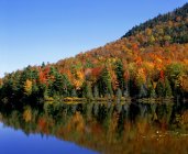 Colores de otoño reflejados fuera del lago - foto de stock
