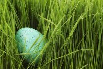 Huevo moteado en hierba - foto de stock
