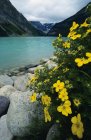 Lago Louise, Parque Nacional Banff - foto de stock