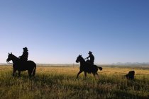 Cowboys su loro cavalli — Foto stock