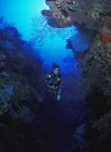 Дайвер-аквалангист — стоковое фото