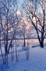 Neve profonda in campagna — Foto stock