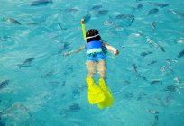 Petite fille plongée avec tuba avec des poissons — Photo de stock
