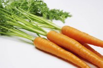 Manojo de zanahorias frescas - foto de stock