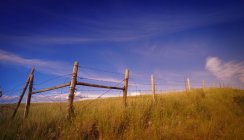 Barbed Wire Fencing — Stock Photo