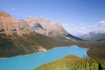 Lago Peyto, Parque Nacional Banff, Alberta, Canadá - foto de stock