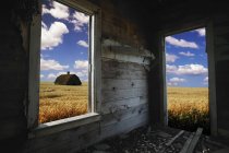 Looking Out Building To Field — Stock Photo