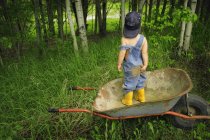 Маленький хлопчик в колісниці над травою в лісі — стокове фото