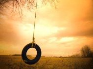 Pneumatico swing su albero — Foto stock