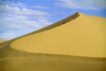 Caravana viajando no deserto — Fotografia de Stock