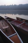 Canoas amarradas en aguas tranquilas - foto de stock