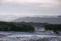 Зимняя сцена в деревне — стоковое фото