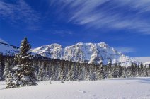 Picos de montaña en los Alpes - foto de stock
