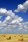 Feno fardos com nuvens brancas — Fotografia de Stock