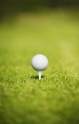Golf Ball On A Tee — Stock Photo