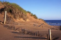 Sand Dunes And Shore — Stock Photo