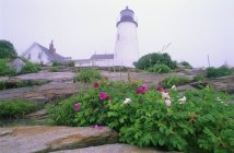 Pemaquid Point Lighthouse — Stock Photo