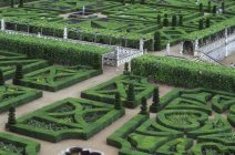 Bellissimo giardino verde — Foto stock
