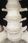 Closeup human vertebrae on black background — Stock Photo