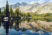 Spiegelungen von Bäumen und Bergen im blauen See — Stockfoto
