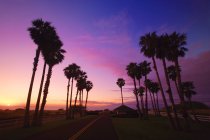 Sunset Over Road trees — Stock Photo