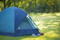 Tenda de acampamento na floresta — Fotografia de Stock
