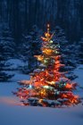 Різдвяна ялинка світиться — стокове фото