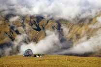 Палаточный лагерь в облаках — стоковое фото