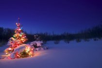 Weihnachtsbaum im Wald dekorieren — Stockfoto