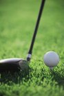 Palla da golf e testa di club — Foto stock