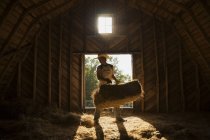Homme déplaçant une balle de foin dans la grange — Photo de stock