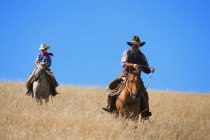 Zwei Cowboys mit Hüten — Stockfoto