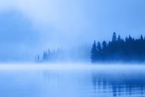 Туманное озеро с деревьями — стоковое фото