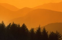 Trees Silhouetted Against Hills — Stock Photo