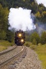 Tren de vapor negro en las vías, al aire libre - foto de stock