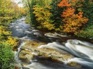 Stream Flowing Through Forest In Vermont — Stock Photo