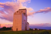 Grain Elevator on field — Stock Photo
