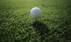 Golf Ball On Tee — Stock Photo