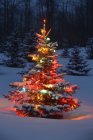 Рождественская елка с огнями на открытом воздухе — стоковое фото