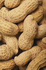 Cacahuètes dans leur coquille — Photo de stock