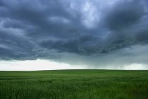 Bewölkter Himmel über dem Feld — Stockfoto