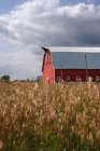Red Barn on field — Stock Photo