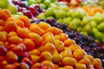 Diferentes frutas en el mercado - foto de stock