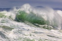Гуркіт хвиль на Орегон — стокове фото