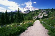 Path In Mountains outdoors — Stock Photo
